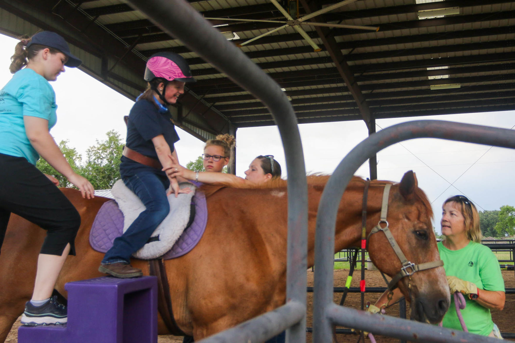 Horse Therapy